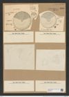 Coscinodiscus bioculatus Grun. (de-Toni-Nr.: Genus 202, Species 4924) Zeichnungen Sammlung Grunow Nr. 8696 (NHMW-BOT-W0378117)